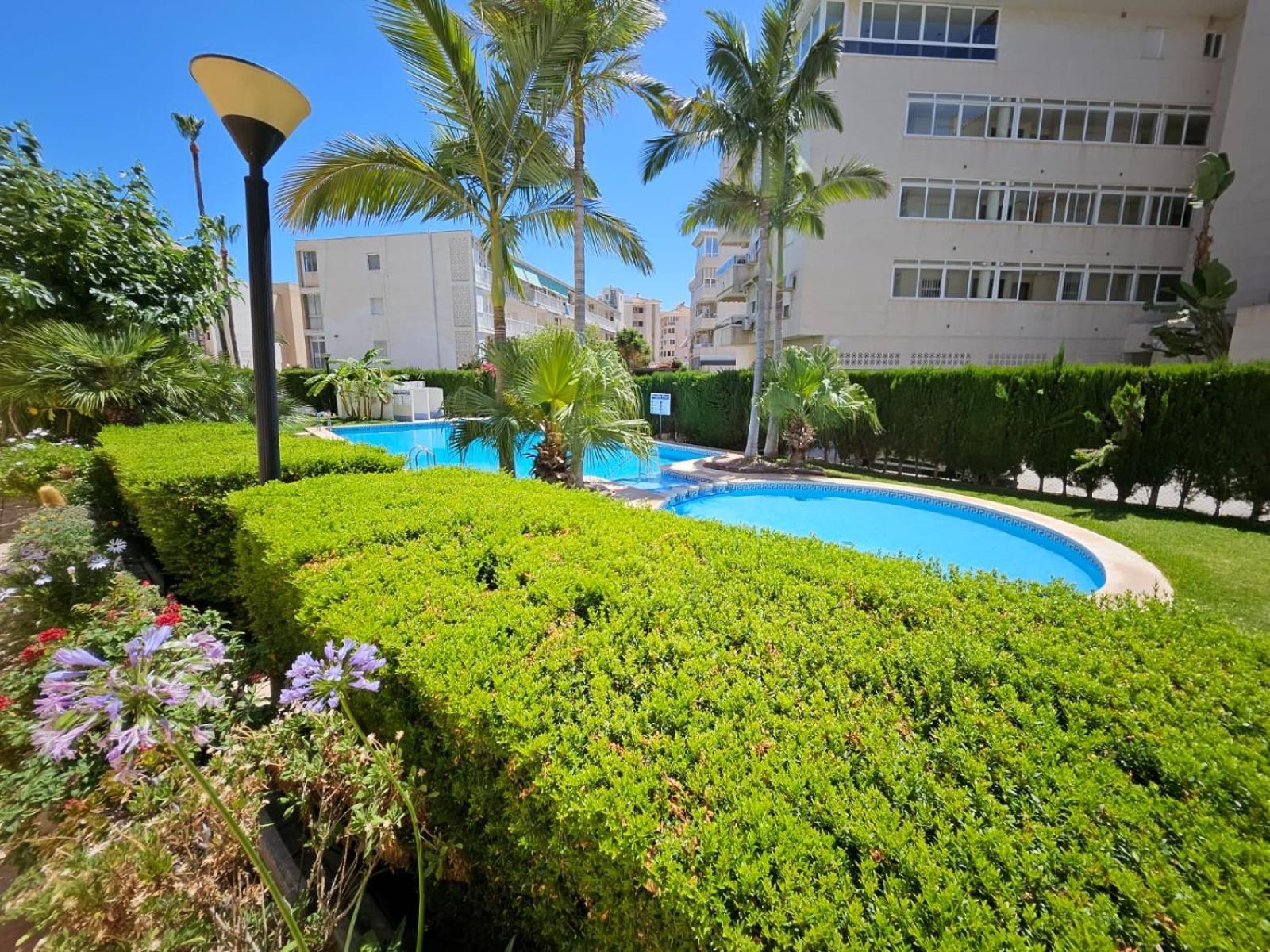 Fin Albir Playa El Albir Exterior foto